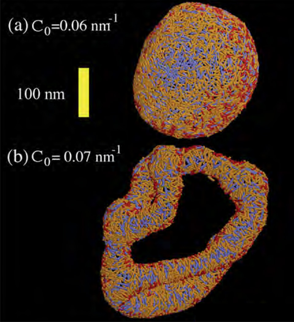 Figure 31