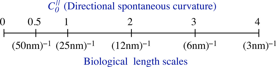 Figure 29