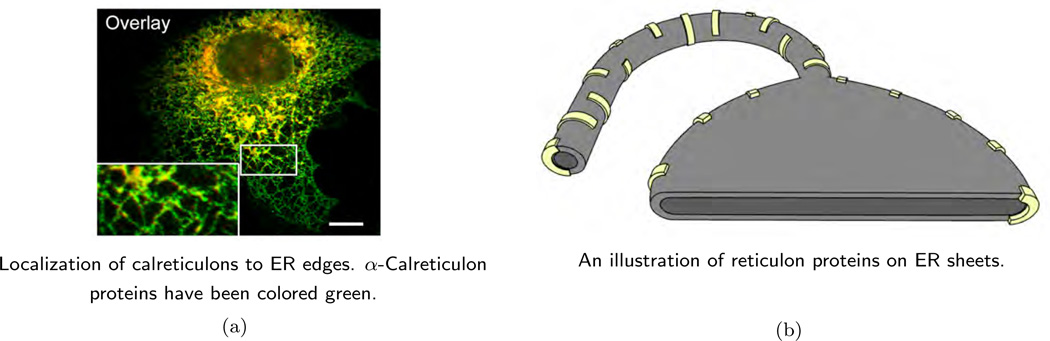 Figure 28