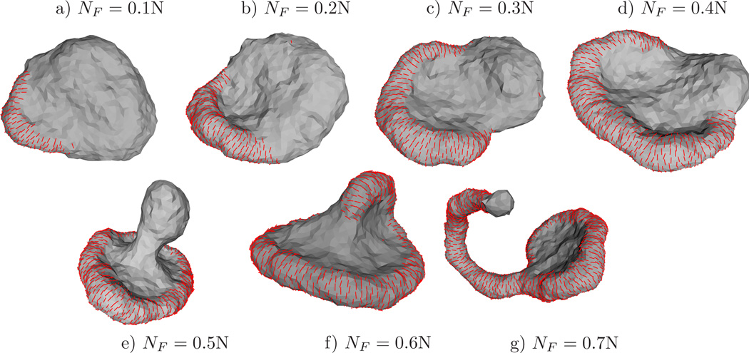 Figure 27