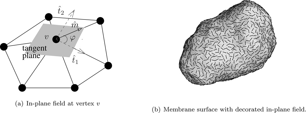 Figure 22