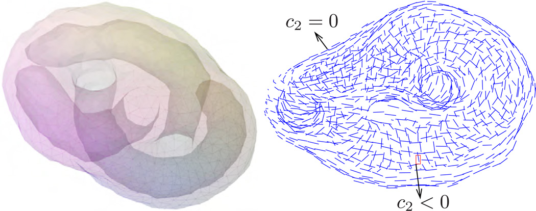 Figure 25