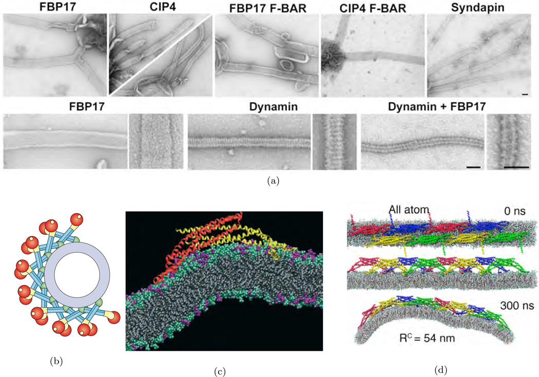 Figure 20