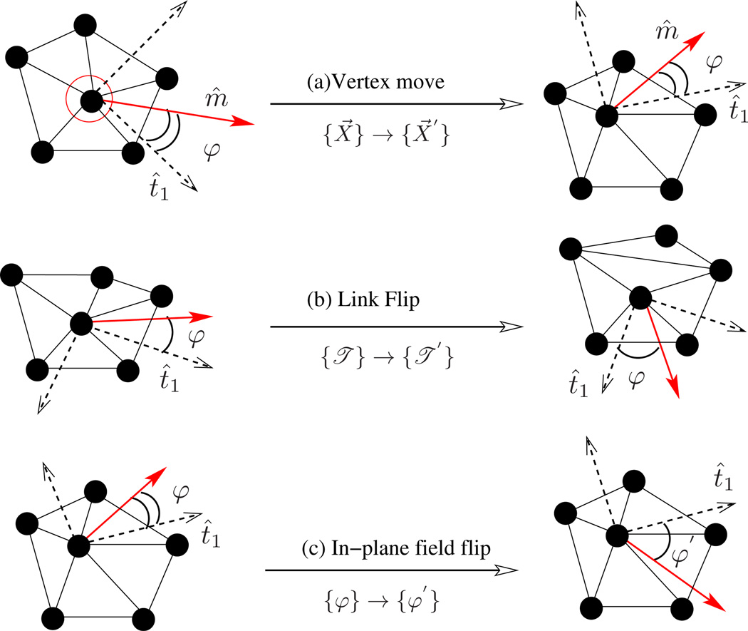 Figure 23