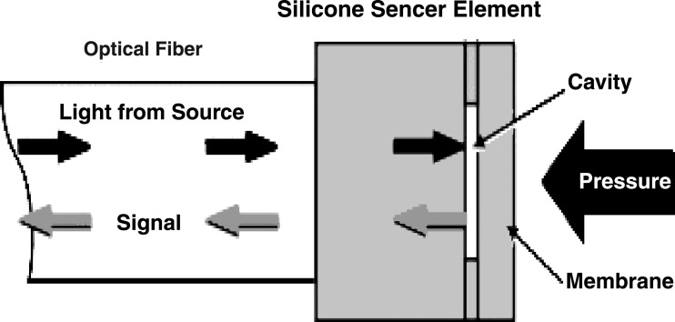 Fig. 1