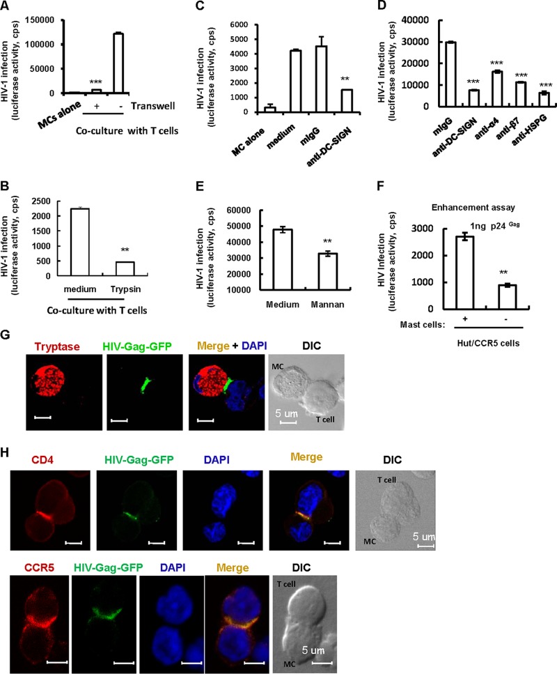 FIG 3