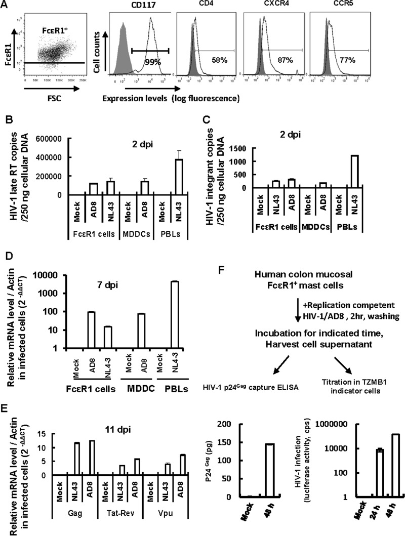 FIG 4