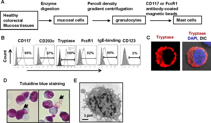 FIG 1