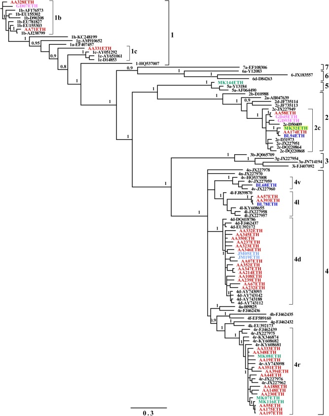 Fig 1