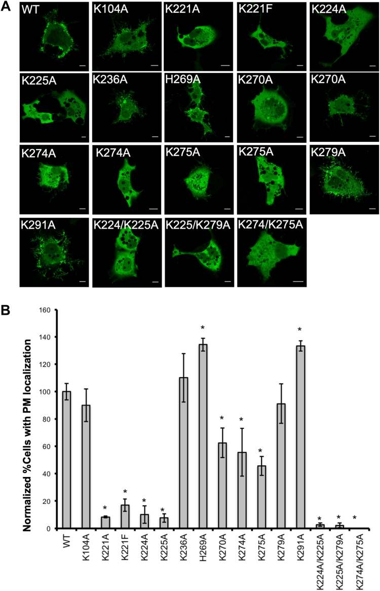 Fig. 10