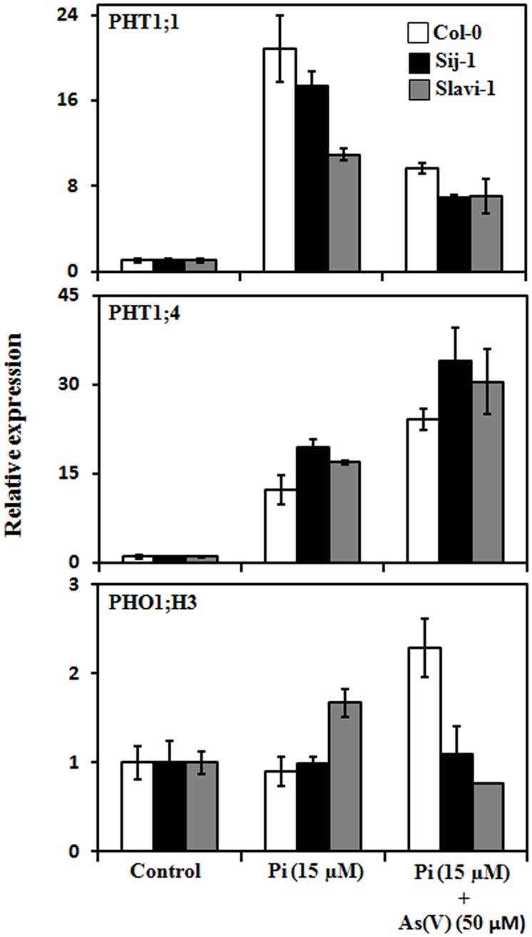 FIGURE 3