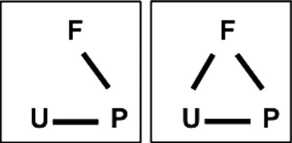 FIGURE 1.