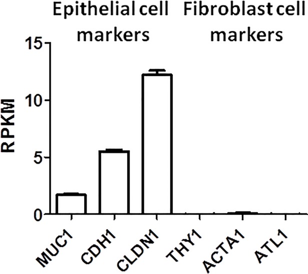 Fig 9