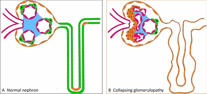 Fig. 7