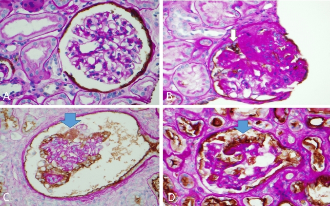 Fig. 2