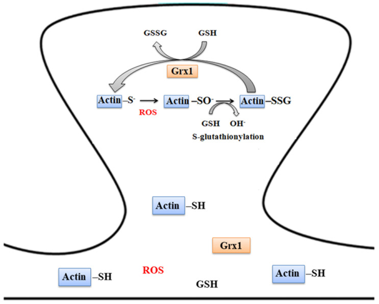 Figure 7