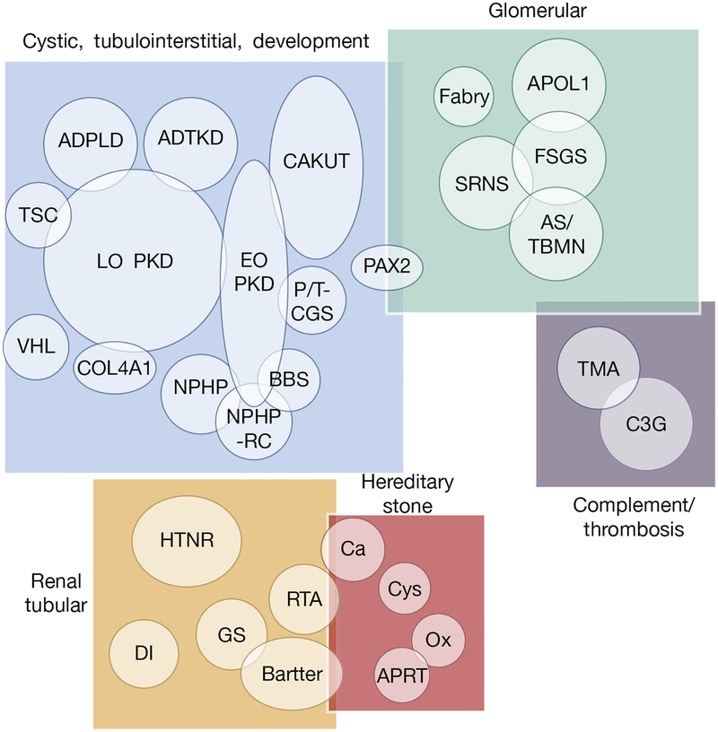 Figure 1 |