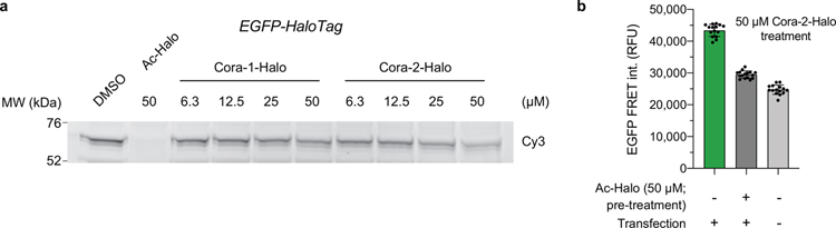 Extended Data Fig. 6