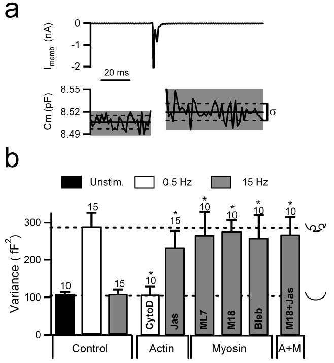 Figure 5