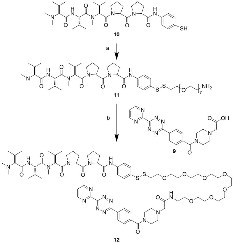 Scheme 3