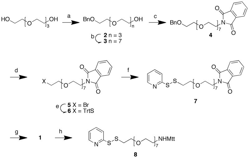 Scheme 2