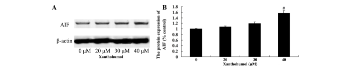 Figure 9.