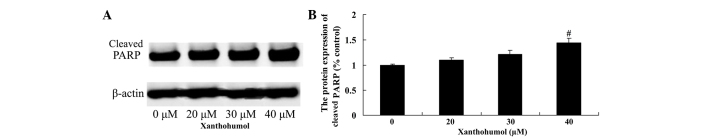 Figure 7.