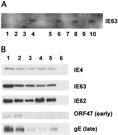 FIG. 8.