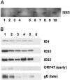 FIG. 8.