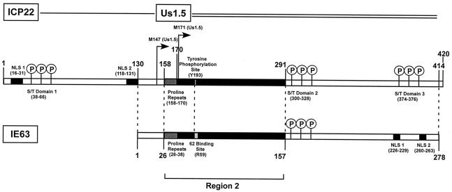 FIG. 11.