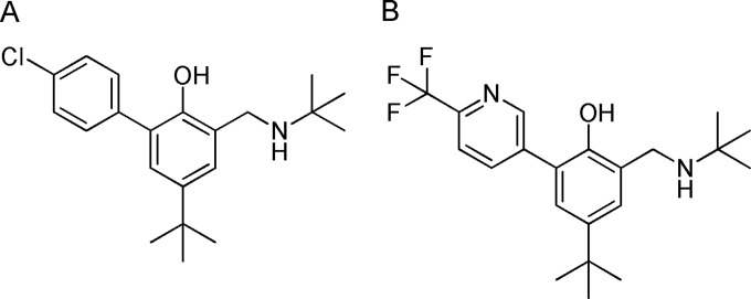 FIG 1