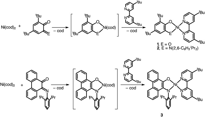 Scheme 1