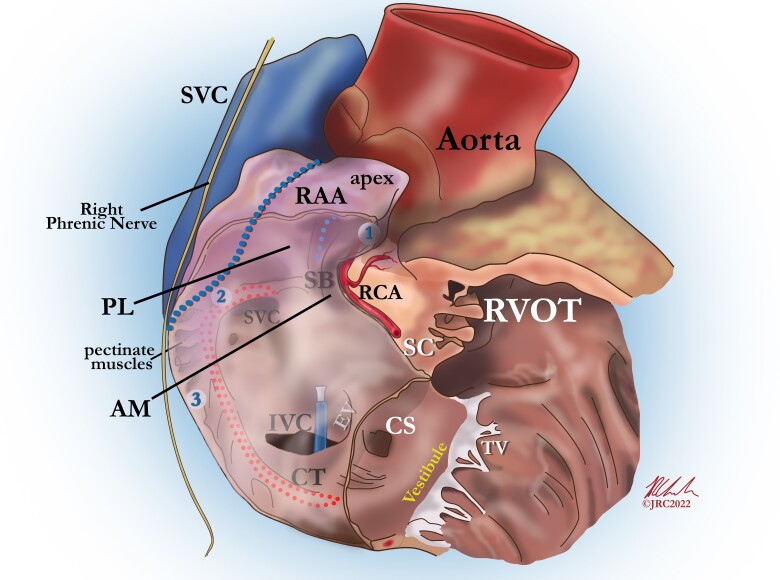 Graphical Abstract