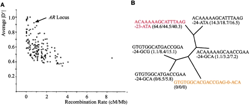 Figure  3