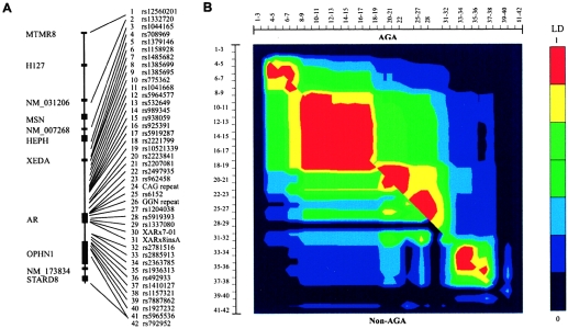 Figure  2