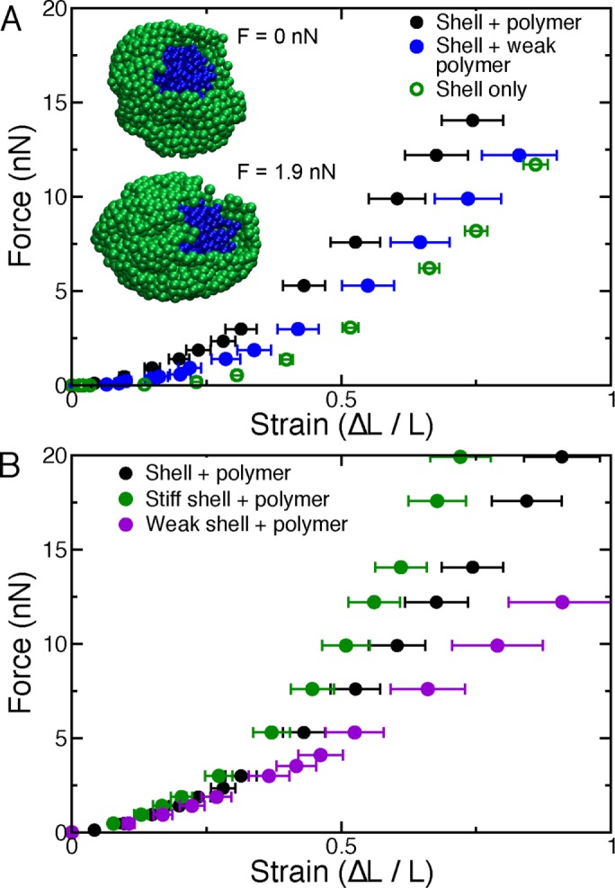 FIGURE 5: