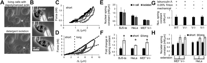 FIGURE 1: