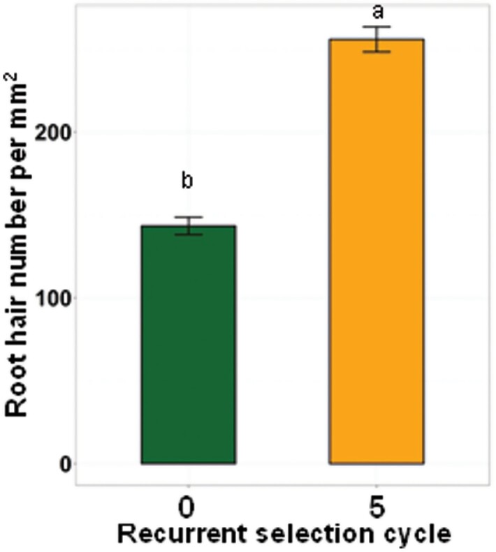 Fig. 7.