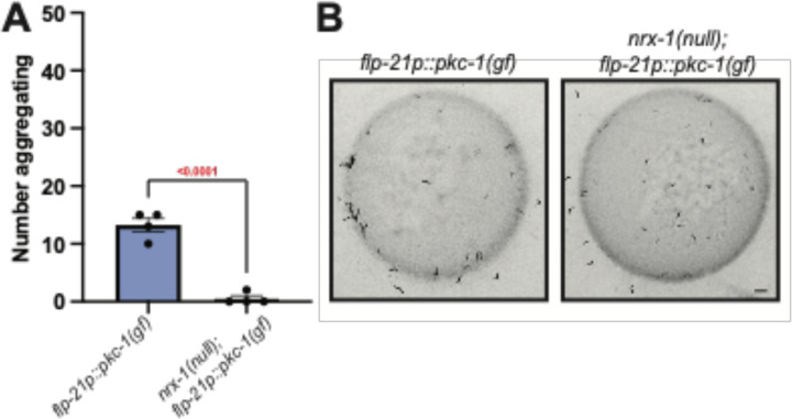 Fig. 7: