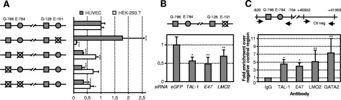 FIG. 6.