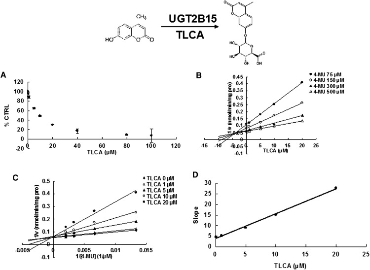 Fig. 8.