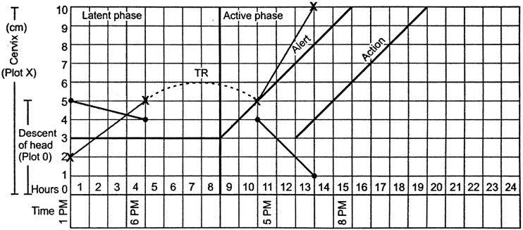 Fig. 6