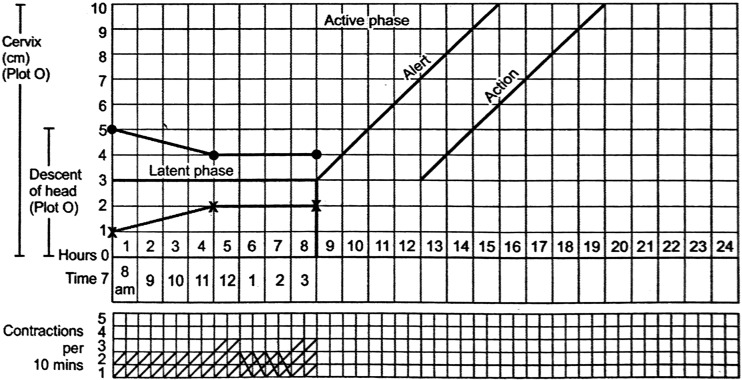 Fig. 7