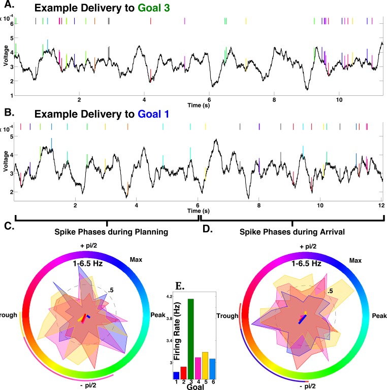 Figure 4—figure supplement 2.