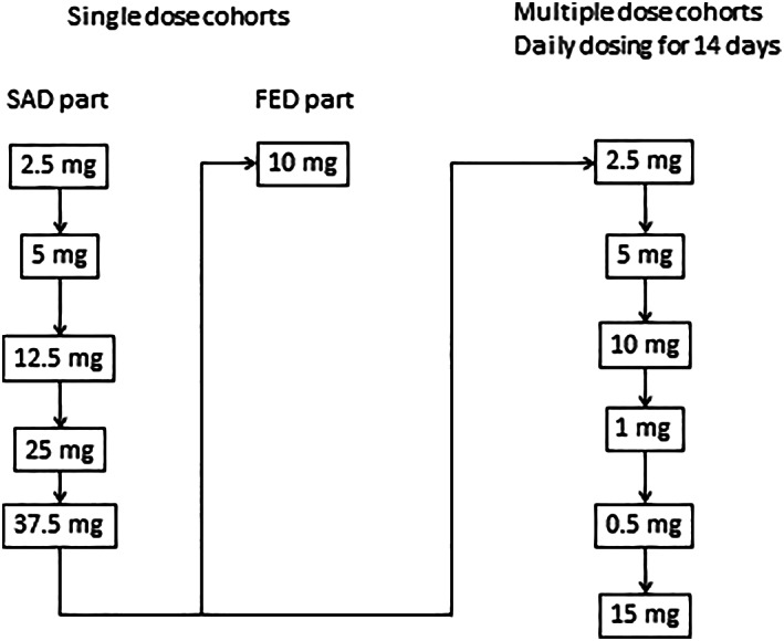 FIGURE 1