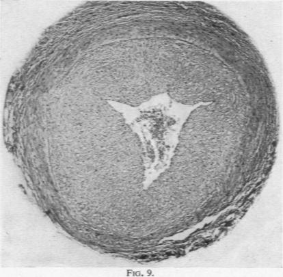 Fig. 9