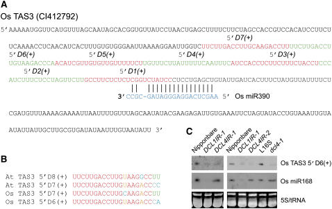 Figure 6.