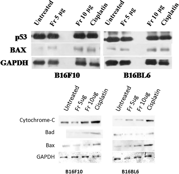 Fig. 7