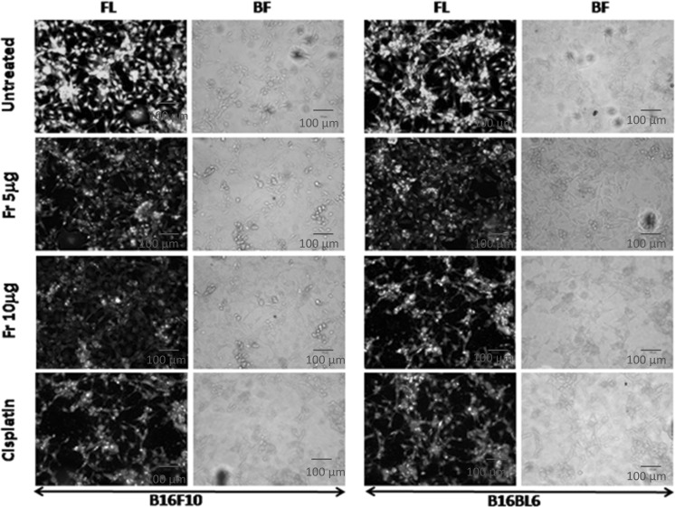 Fig. 4