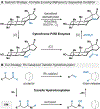 Figure 24.